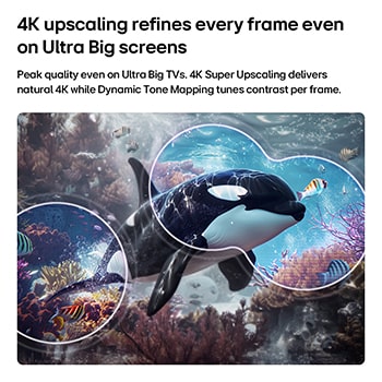 Een LG QNED evo AI QNED70 Mini LED met 4K Super Opschalen en Dynamic Tone Mapping toont een onderwaterscène van een zeeleeuw, terwijl AI elk frame herkent en opschaalt tot een resolutie van 4K.